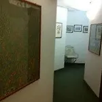 Plinio